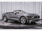 Thumbnail Photo 40 for 2021 Ford Mustang GT Premium